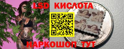 прущие грибы Комсомольск-на-Амуре