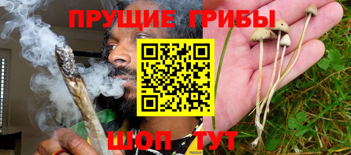 Псилоцибиновые грибы прущие грибы Фурманов